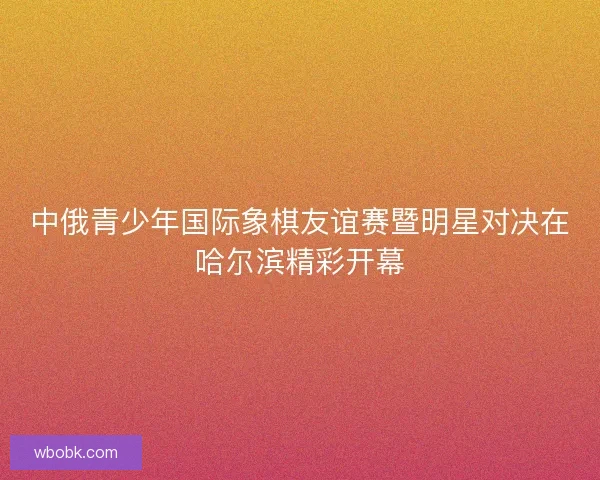中俄青少年国际象棋友谊赛暨明星对决在哈尔滨精彩开幕